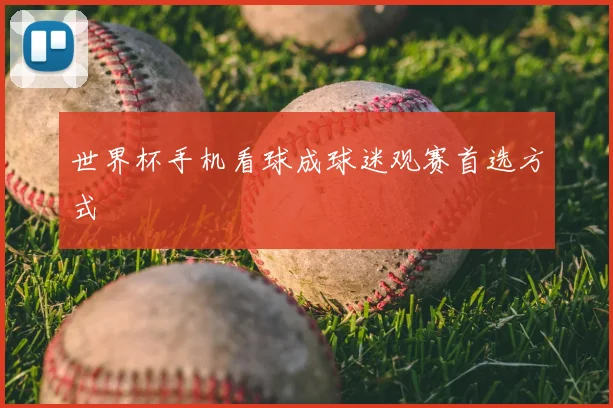 世界杯手机看球成球迷观赛首选方式