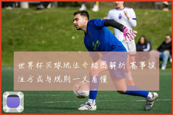 世界杯买球玩法介绍图解析 赛事投注方式与规则一文看懂