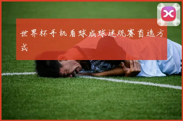 世界杯手机看球成球迷观赛首选方式