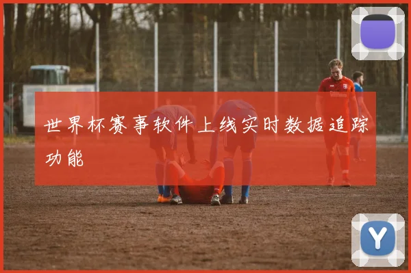 世界杯赛事软件上线实时数据追踪功能