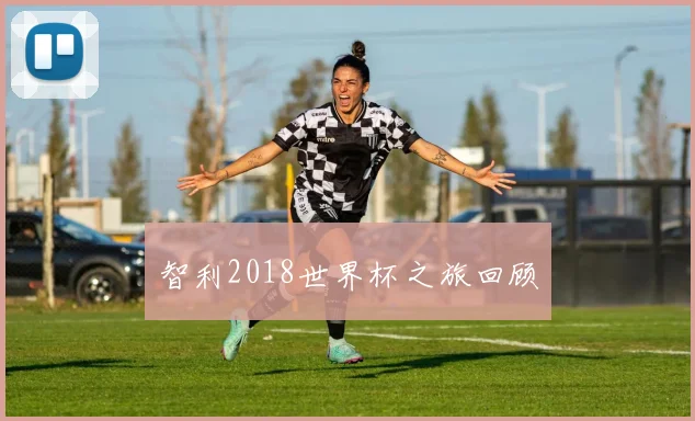智利2018世界杯之旅回顾