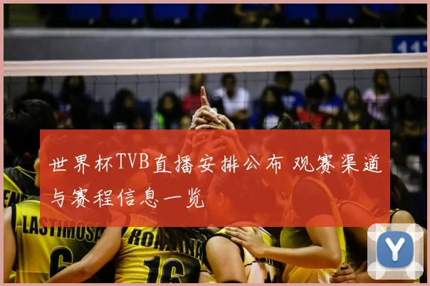 世界杯TVB直播安排公布 观赛渠道与赛程信息一览