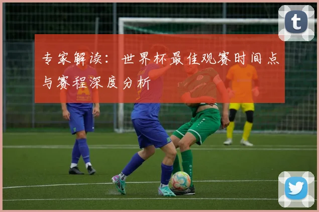 专家解读:世界杯最佳观赛时间点与赛程深度分析
