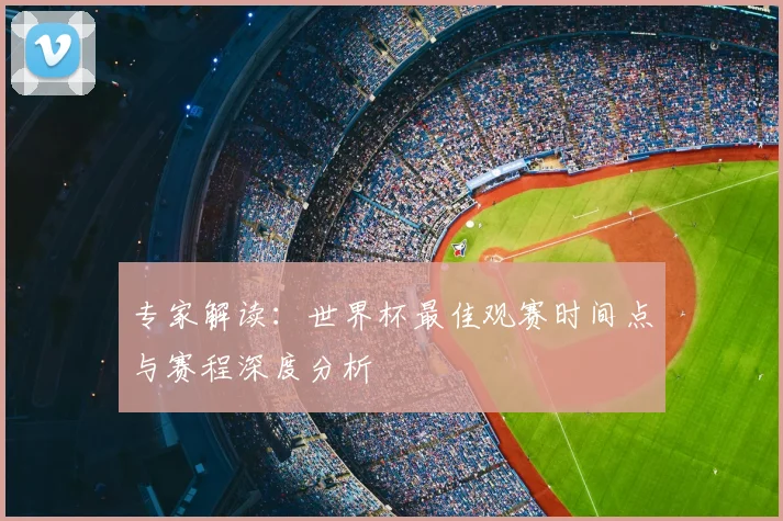 专家解读：世界杯最佳观赛时间点与赛程深度分析