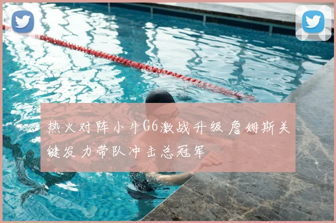 热火对阵小牛G6激战升级 詹姆斯关键发力带队冲击总冠军